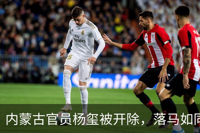 内蒙古官员杨玺被开除，落马如同“热锅上的蚂蚁